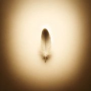 A minimalistic image in sepia tones, embodying simplicity and tranquility. The composition includes a small, delicate object in the center against a g copy