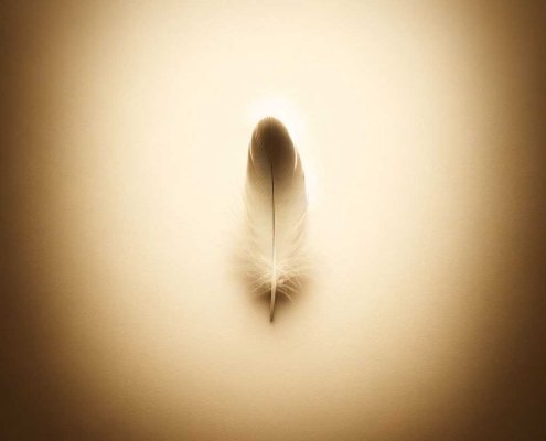 A minimalistic image in sepia tones, embodying simplicity and tranquility. The composition includes a small, delicate object in the center against a g copy