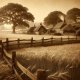 A tranquil countryside scene in sepia tones, featuring an expansive wheat field under a clear sky. In the foreground, a rustic wooden fence lines the copy